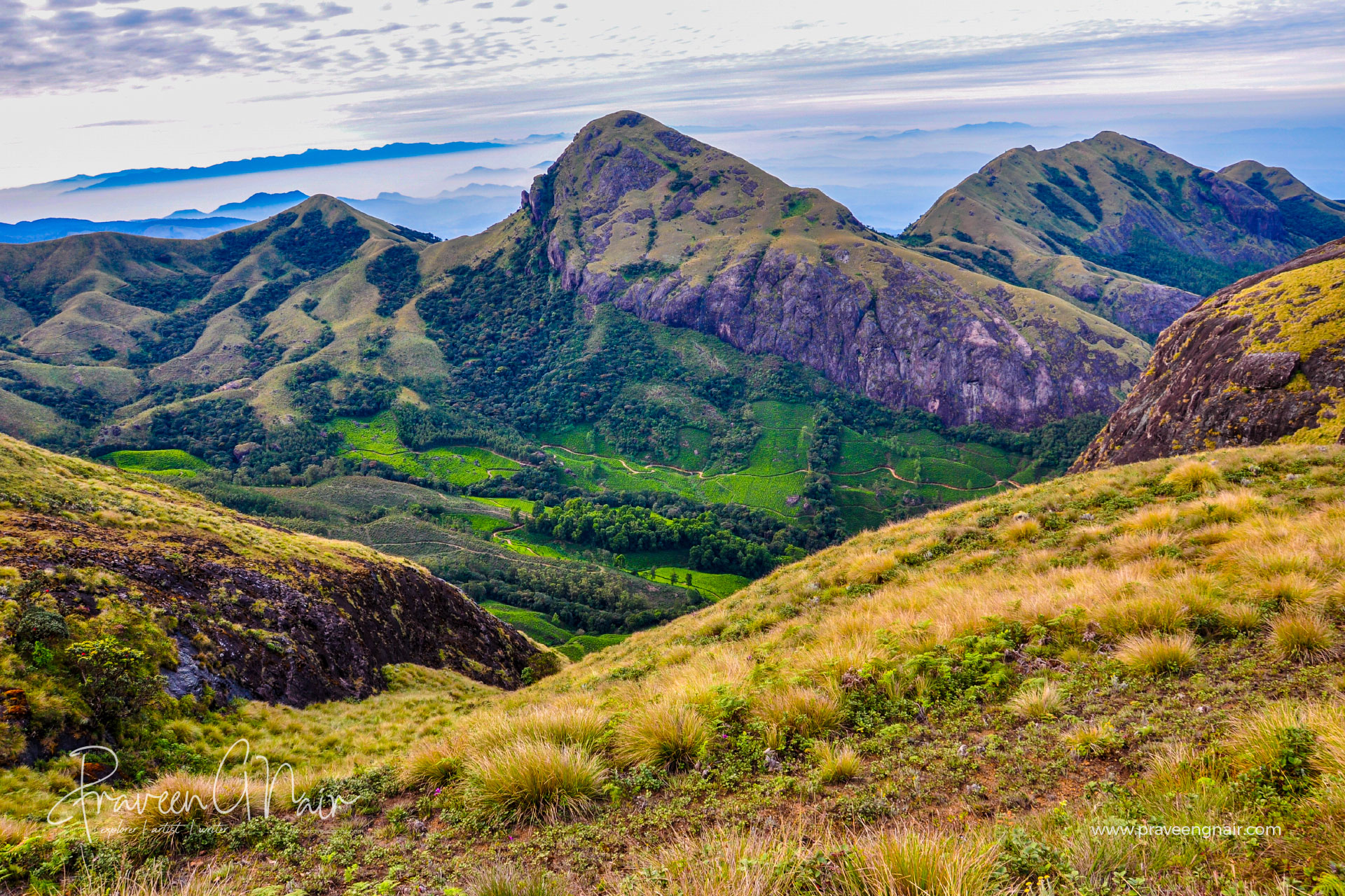 Meesapulimala-Landscape